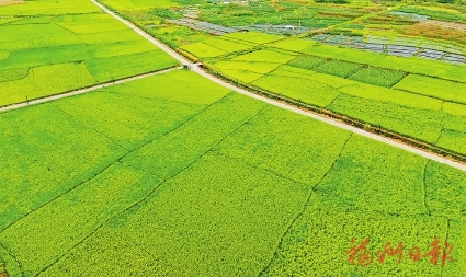 守好美丽约定 共建幸福家园