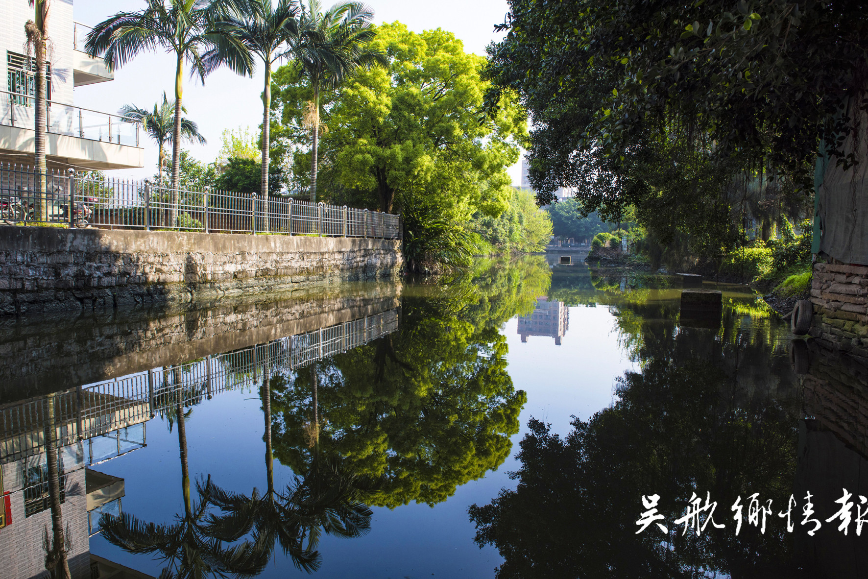 清清道头浦 悠悠水乡情