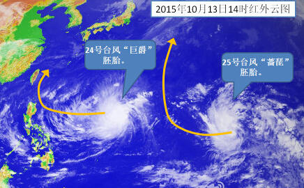 第24号台风“巨爵”要来了　不排除最终登陆福建