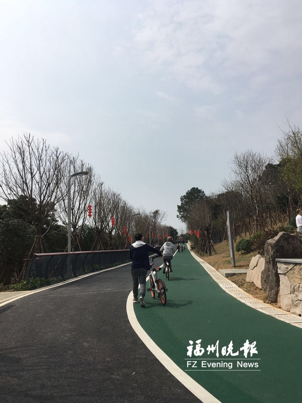 飞凤山奥体公园步行道变自行车道 两单位表示加强管理