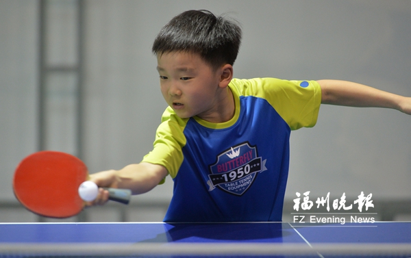 福州市小学生乒乓球赛　329名选手打近800场比赛