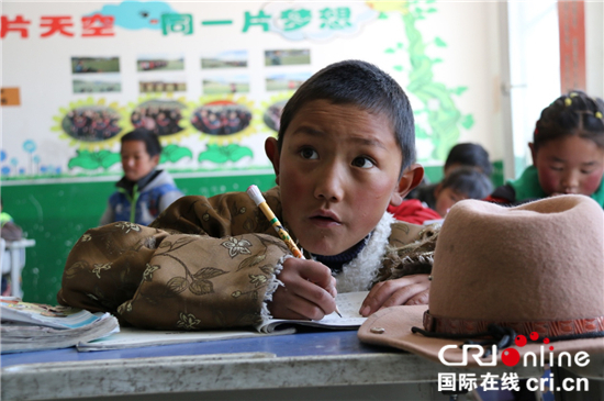 迎难而上　青海保障少数民族受教育权见闻