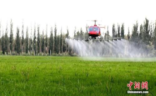 资料图：新疆农民利用高科技产品飞机对农作物开展空中喷洒农药。李江帆 摄