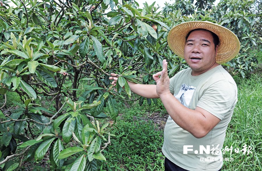 连江东湖镇天竹村脱贫有套土办法　挖掘“土”特色