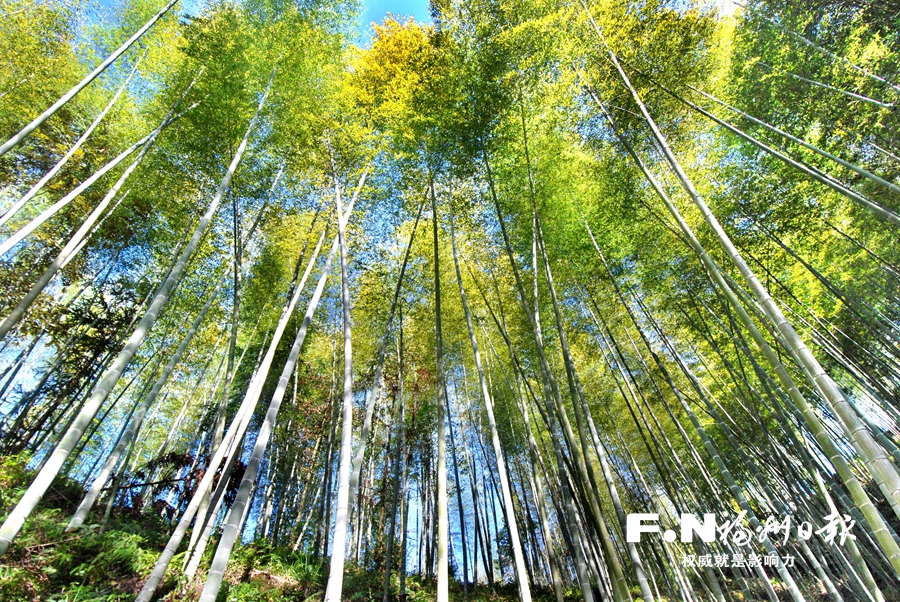 守住绿水青山 共享绿色福祉——福州市全面深化改革系列报道之七