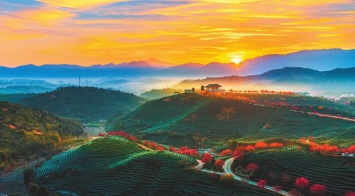 龙岩：康养旅游在客家