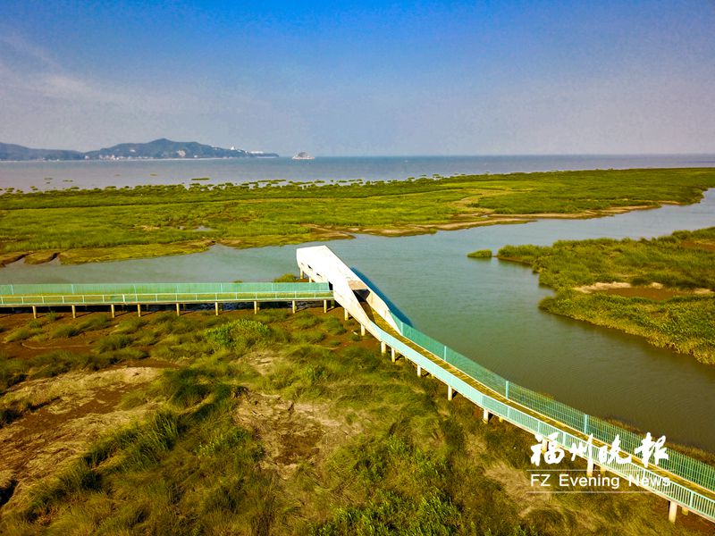 闽江河口湿地坚持绿色发展理念 守住生态保护底线