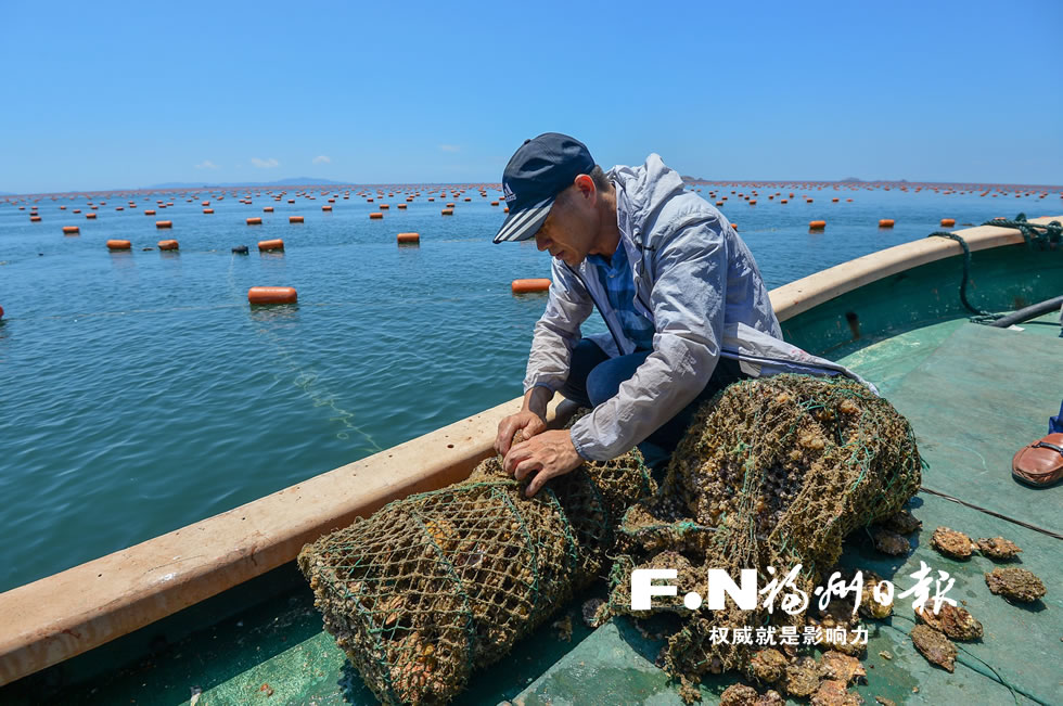 福州以中央生态环保督察为契机 全面提升生态文明建设水平