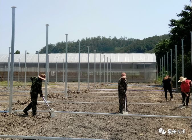 【沙场秋点兵】猴屿乡：推进全域旅游 打造高颜值生态侨乡