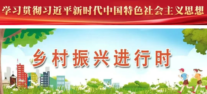 全线提升！湖南镇又添一处乡村新景观！