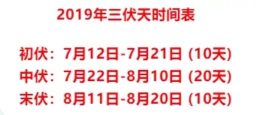 明日出伏！未来几天，福州天气将……