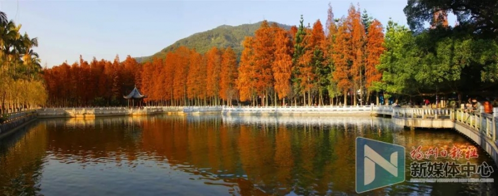 即将跌破15℃！福州人11月要警惕这些疾病！