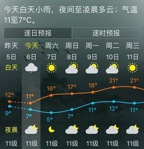 福州发布大风黄色预警信号！周末放晴，最低温仅……