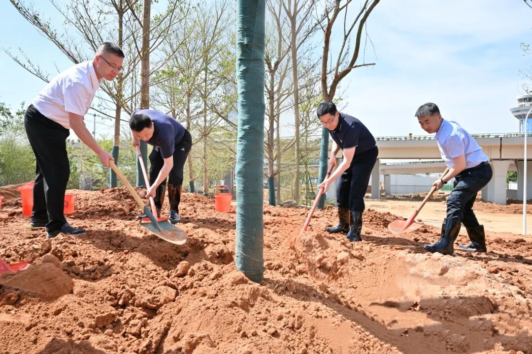 福州新区（5E对战
）开展2026年义务植树活动