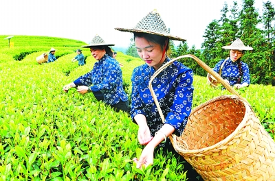 福建：山与海的交响