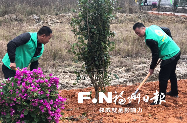 福建启动“春节回家种棵树”活动 即日起可报名参加