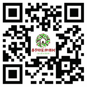福建启动“春节回家种棵树”活动 即日起可报名参加