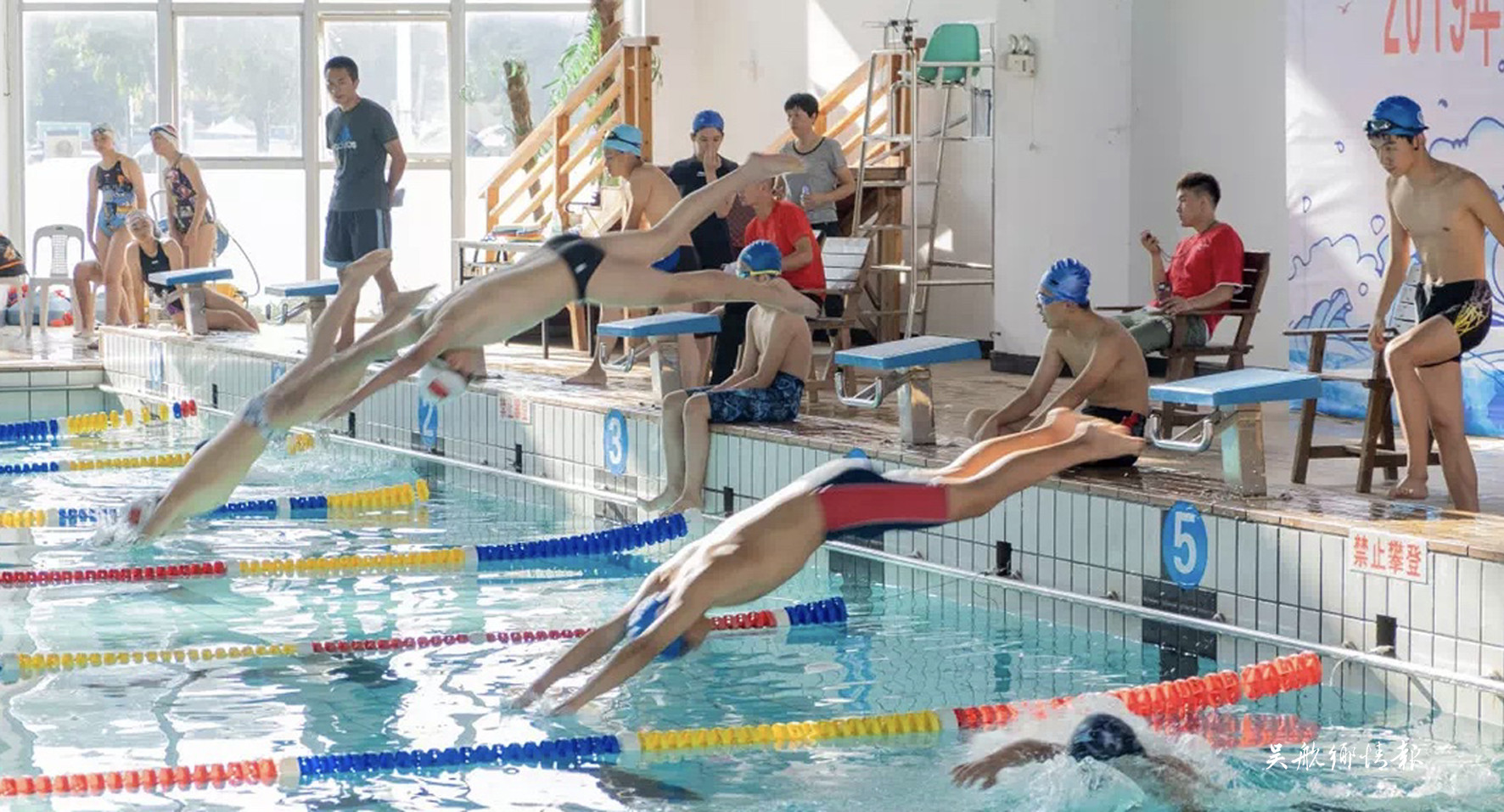 区第七届全民健身运动会 中小学生游泳比赛圆满结束
