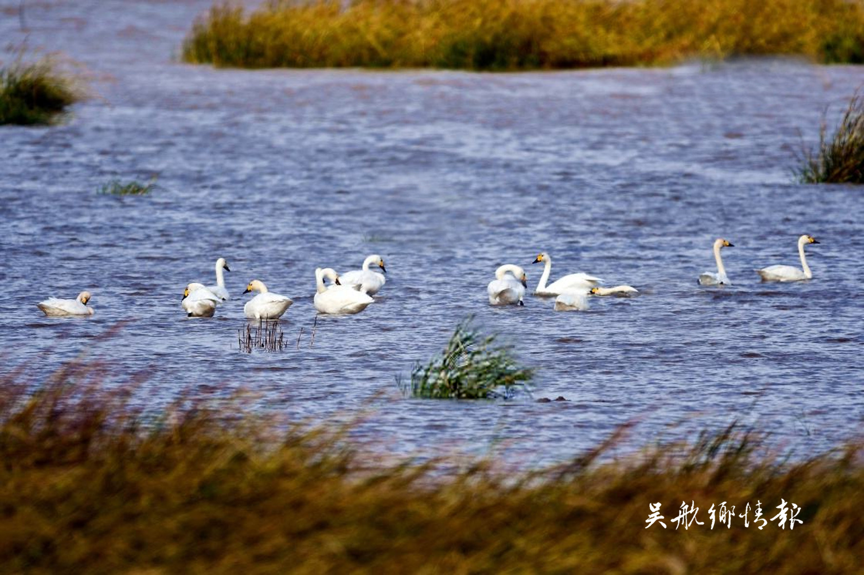 走进闽江河口湿地