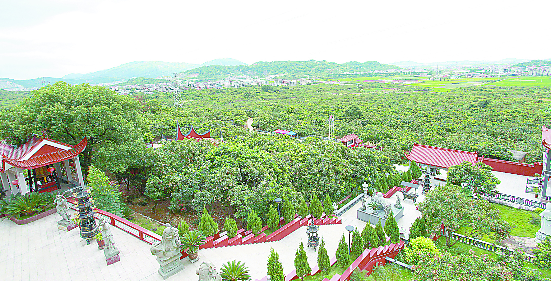 相约，这里藏着长乐美丽乡村最迷人的美景！