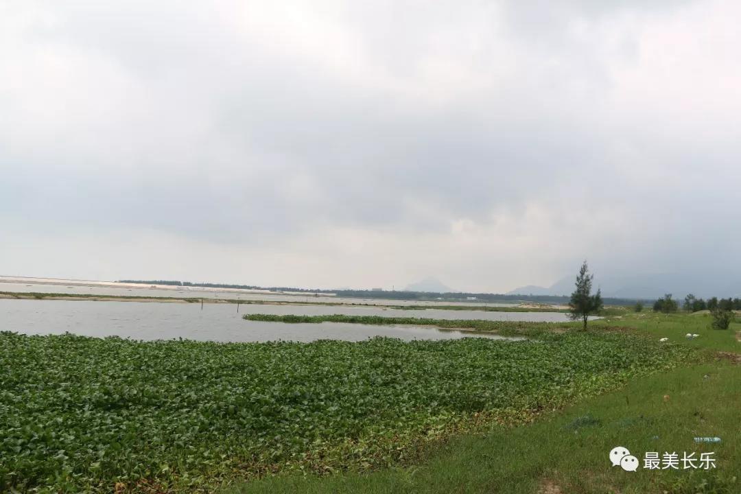 区领导带队察看福州滨海新城相关项目