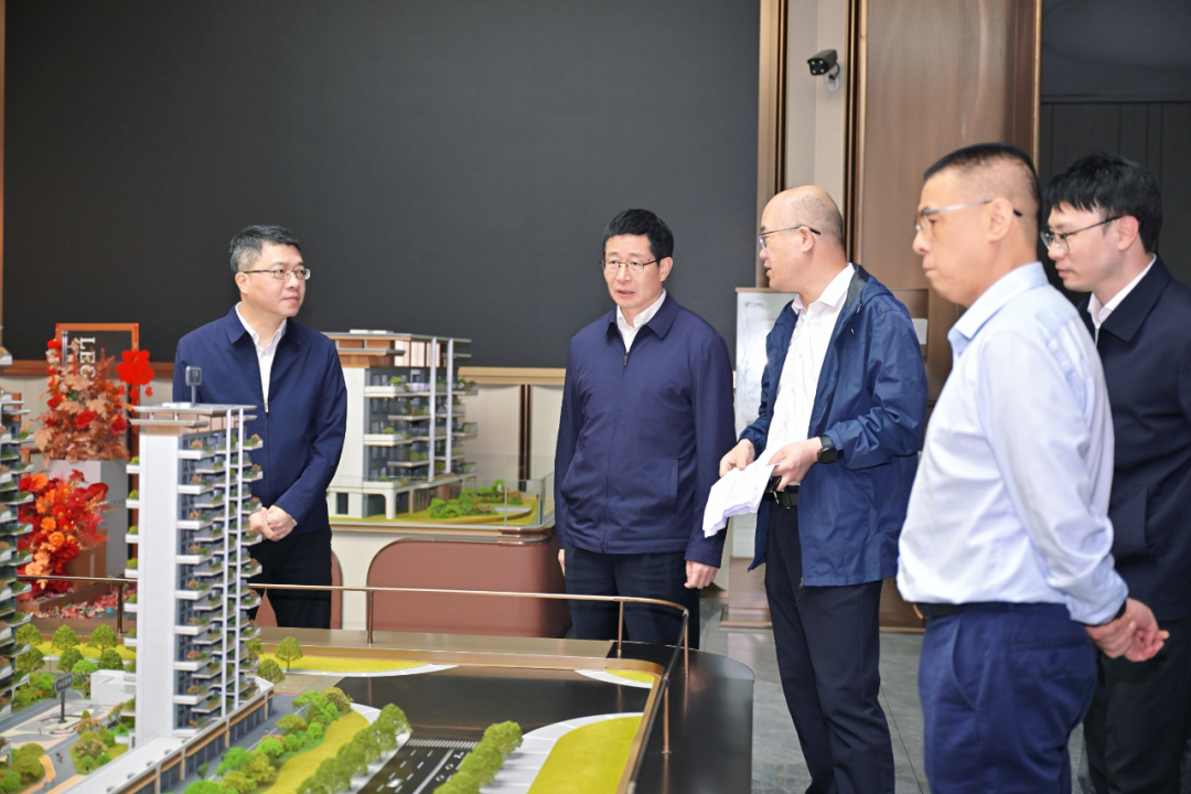 兰文调研资产盘活工作并指导推动学习教育