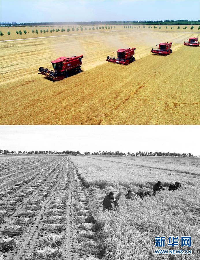 在希望的田野上