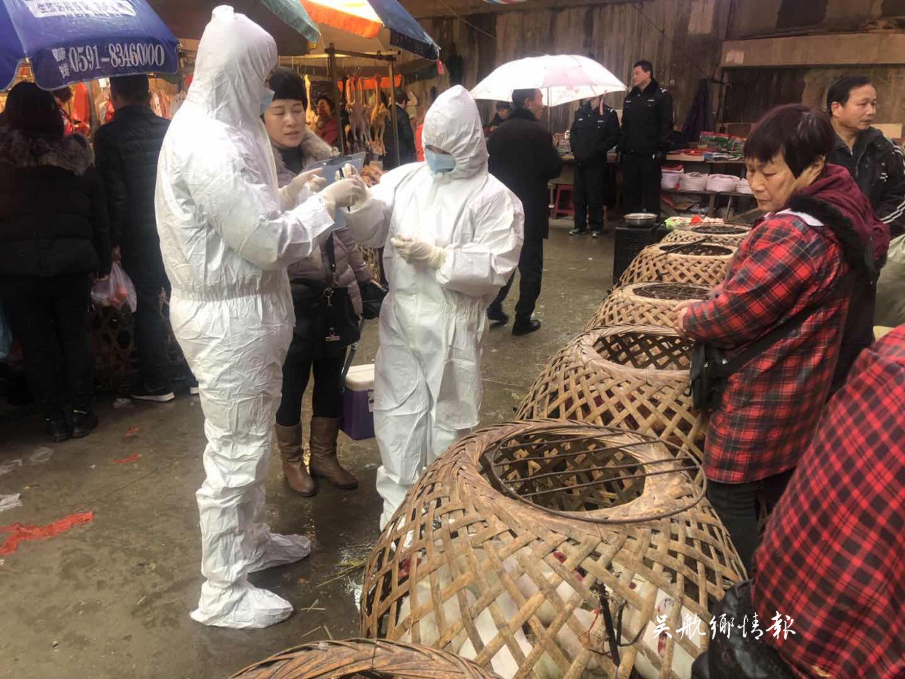 我区重大动物疫病防控工作进展顺利