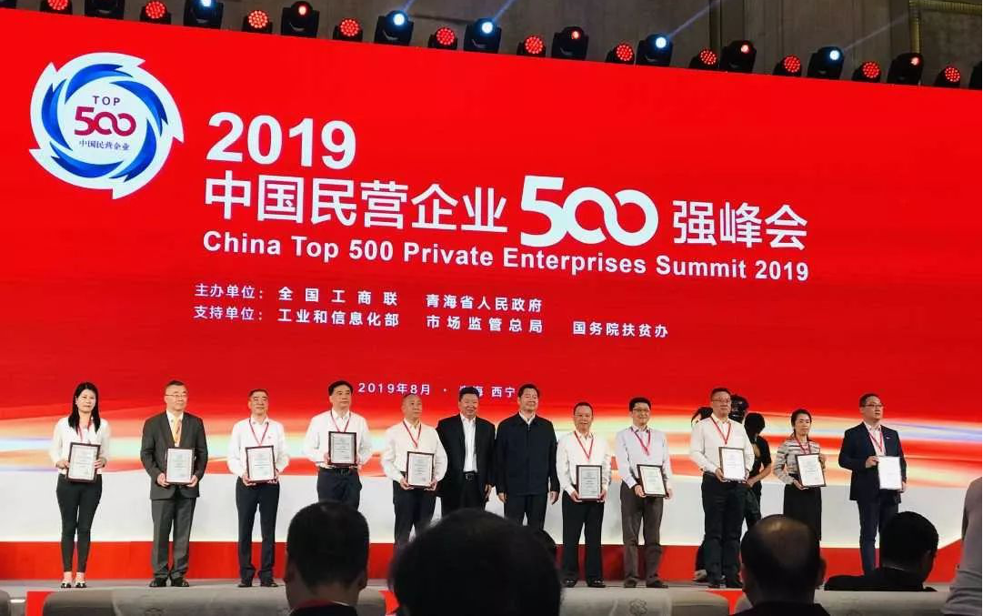 我区3家企业入选2019中国民营企业500强