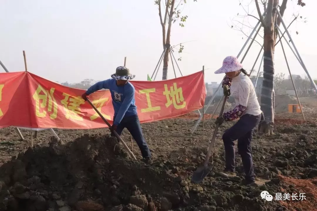 绿意满满！东湖湿地公园植树添新绿！