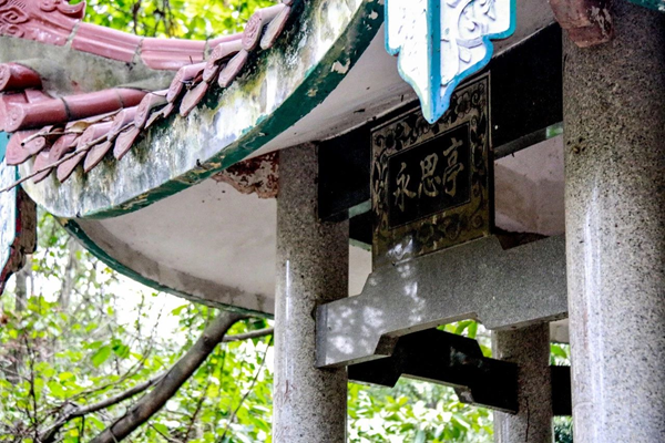 【网络述年】长乐有这样一个地方，熟悉的风景，承载了多少人的回忆！