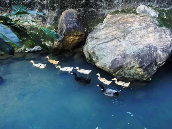 【网络述年】长乐有这样一个地方，熟悉的风景，承载了多少人的回忆！