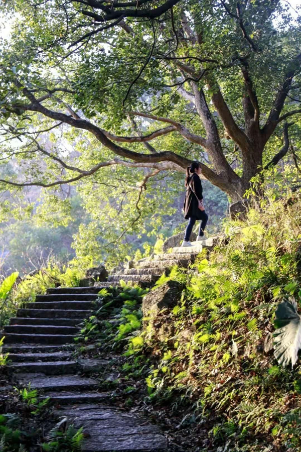 【网络述年】长乐有这样一个地方，熟悉的风景，承载了多少人的回忆！