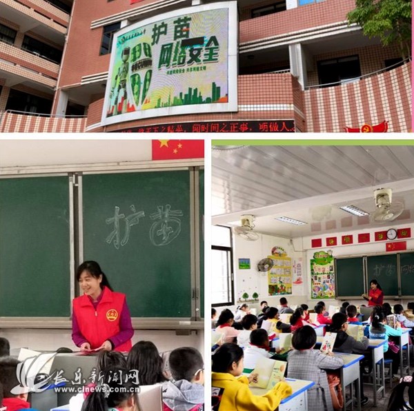 《护苗·网络安全课程》进校园活动在洞江小学举行