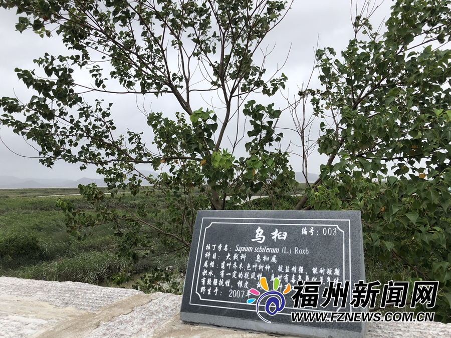 微信图片_20180918095530.jpg