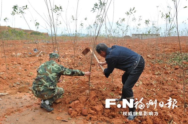 汶石村人口_台山汶村晚上图片