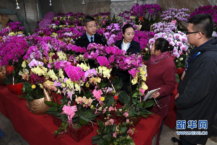 （社会）（1）福州：严查违规收送名贵花卉
