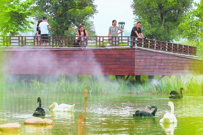 漳州：踏上生态路 走向“生态＋”