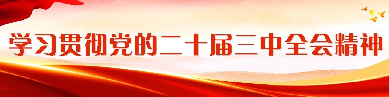 11秒加工一张液晶面板！福米产业园提“质”向“新”发展