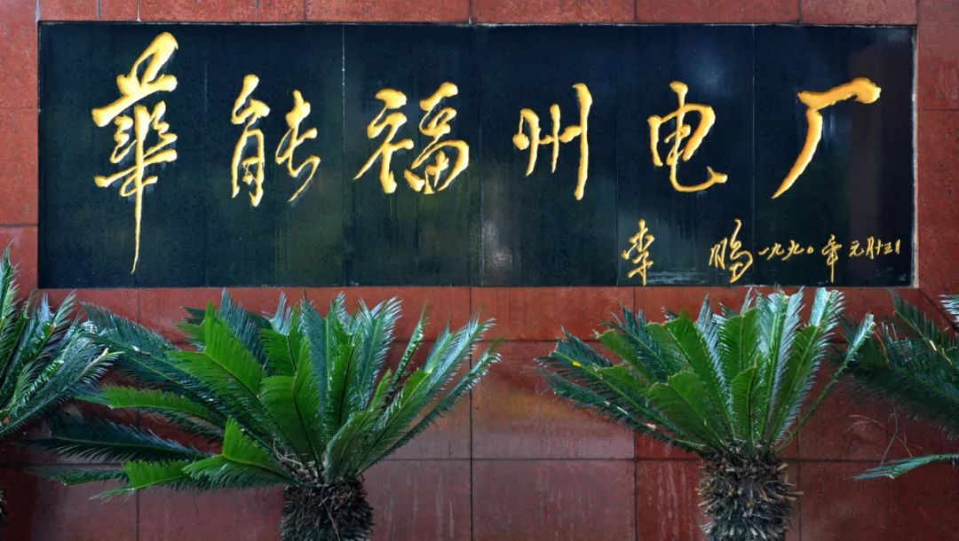 全国荣誉拿到手软！15年背后的秘诀竟是……