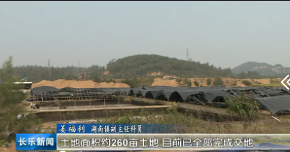 长乐新闻20190331