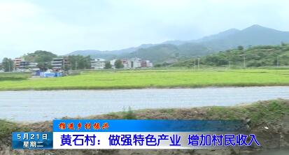 长乐新闻20190521