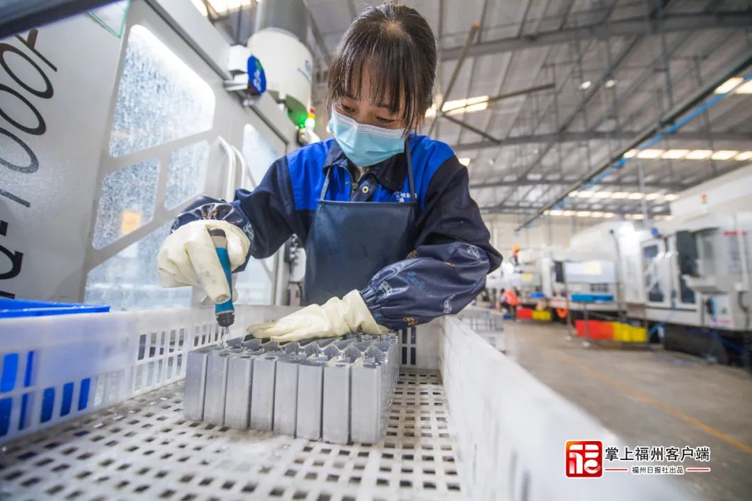 深学争优 敢为争先 实干争效丨专访罗源县委书记张新怿