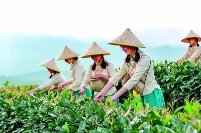 今天，《光明日报》整版聚焦福建