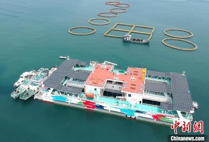 （高质量发展调研行）向海图强 福建绘就“掘金”深蓝新篇章