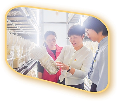 人民日报点赞福州罗源：党建让空心村实起来