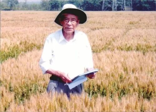 从科举“顶流”到院士之乡，福州人的“学霸基因”藏不住了！