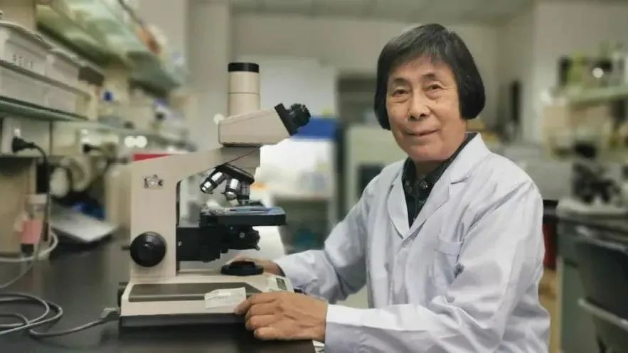 从科举“顶流”到院士之乡，福州人的“学霸基因”藏不住了！