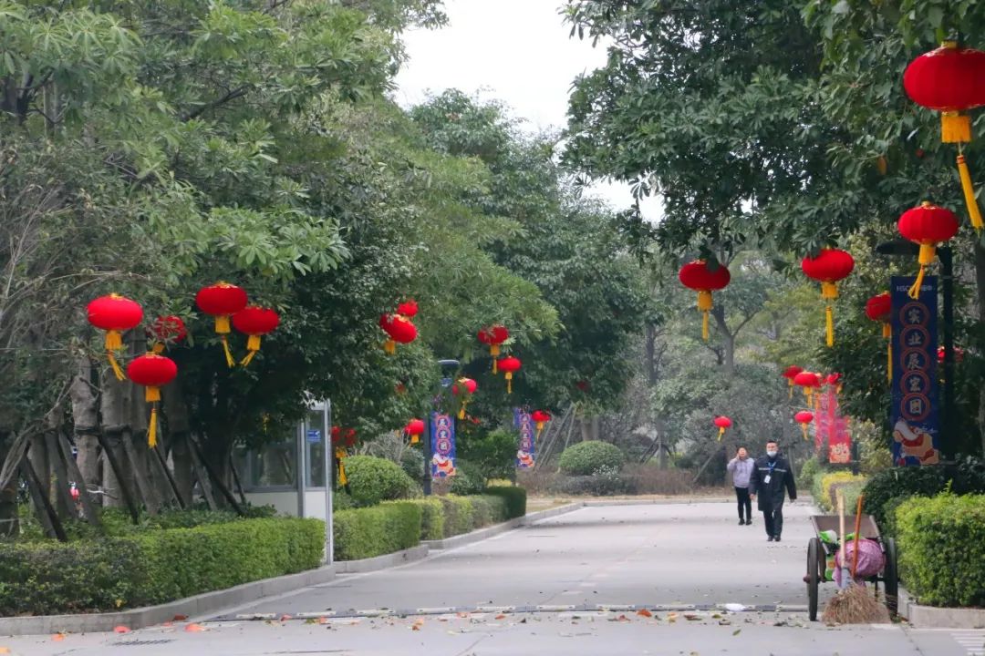 恒申：重点项目不停工不停产 奋力实现第一季度“开门红”