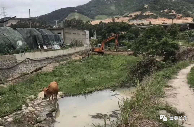 新览村：一村一落皆美景 美丽乡村入画来